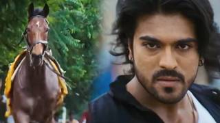 Ram Charan Ne is Pagal Ghode Ko Apne Kaabu Main Kar Liya