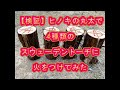 【検証】【アウトドア】4種類の スウェーデントーチに火をつけて燃え方の検証をしました。