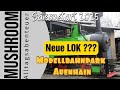 Neue Lokomotive im Modellbahnpark Auenhain