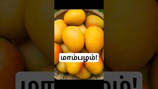 மாம்பழம்#tamil #trending #viral #history #india #mango #food #tree #shorts #fruit #facts #tasty #new