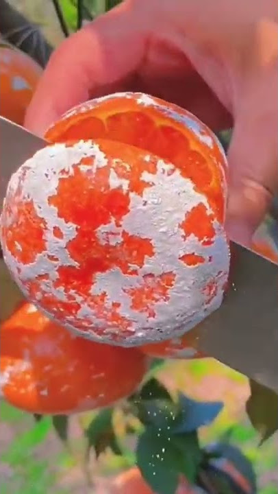 juicy yesipe fruit