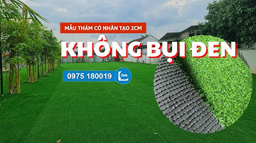 Thảm cỏ nhân tạo 2cm trải sân vườn đẹp | Cỏ Nhân Tạo SG