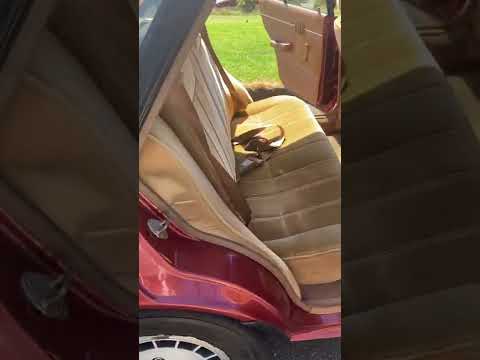 1985 Ford Laser