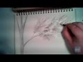 How to Draw Realistic Looking Leaves