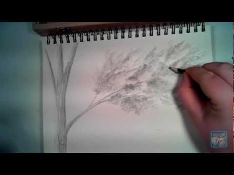 Video: How To Draw Trees And Their Leaves