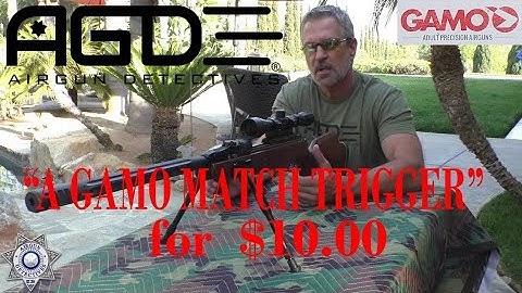Gamo Match Trigger for $10.00? How to upgrade your trigger!