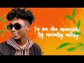Dydy vezoo - Malemy (Lyrics vidéo)