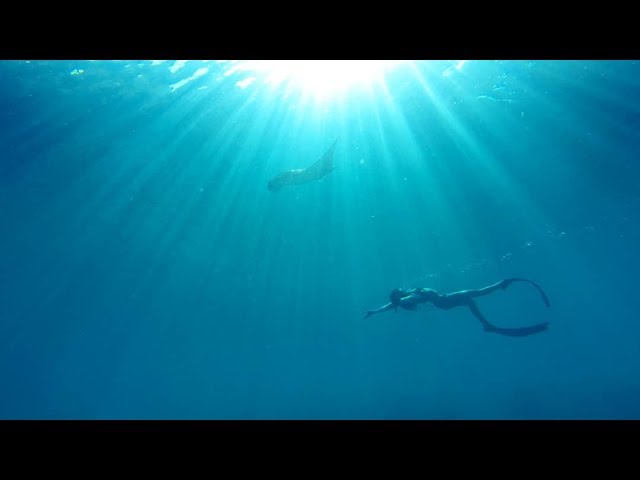 Swimming with Manta Rays Indonesia Episode 107 Sailing Catalpa