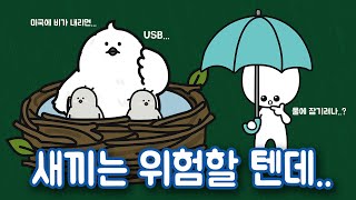 비가 오면 새 둥지는 어떻게 될까?🐣🌧️