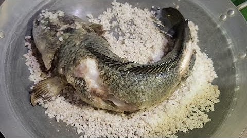 Cá lóc nổ muối hột thịt ngọt thơm chín điều không mặn