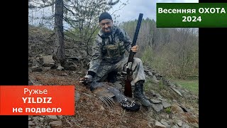 Весенняя охота с YILDIZ SPZ ME/12. Ружье не подвело. Глухарь добыт. Выстрел в кадре.