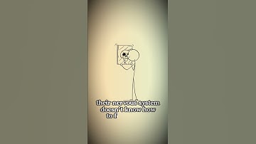 7 Signs of a Disorganized Attachment Style in Relationships