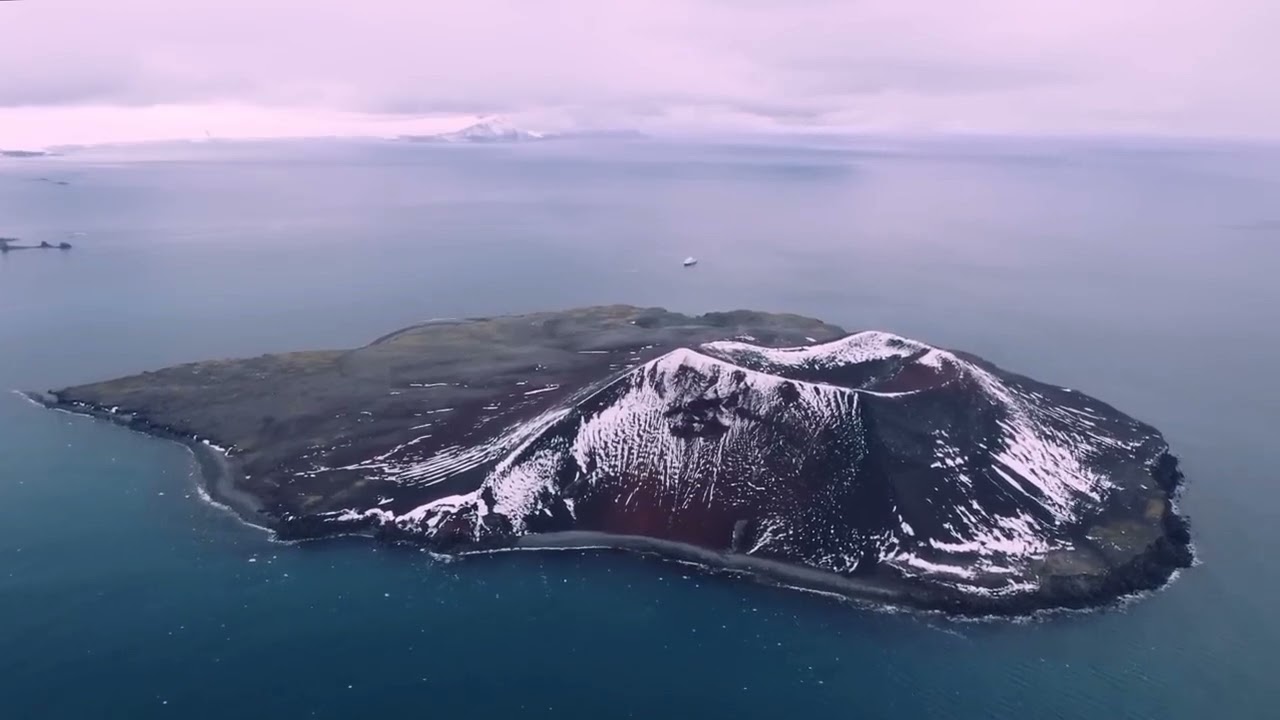 Escape to Antarctica; Where Adventure Begins!