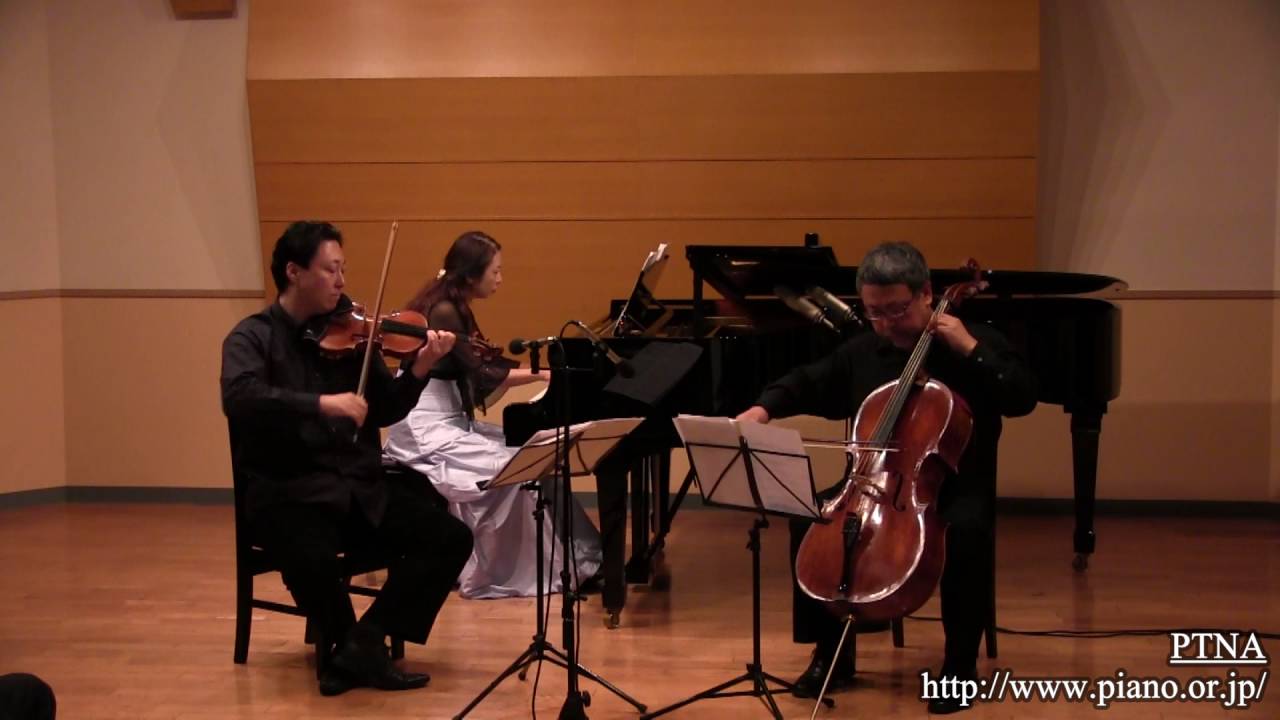 Haraguchi Masumi / Wanhal - Trio Mov.1