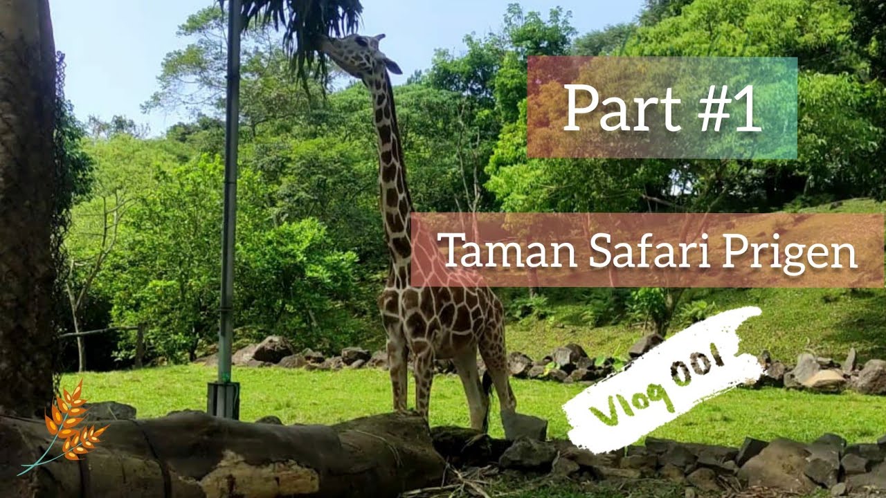 isi taman safari prigen