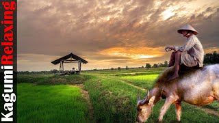 suling sundanese west java instrumental music | suling sunda paling merdu