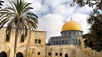 القرآن الكريم : سورة السجدة Quran Translation -Ghamdi: As-Sajdah : 32