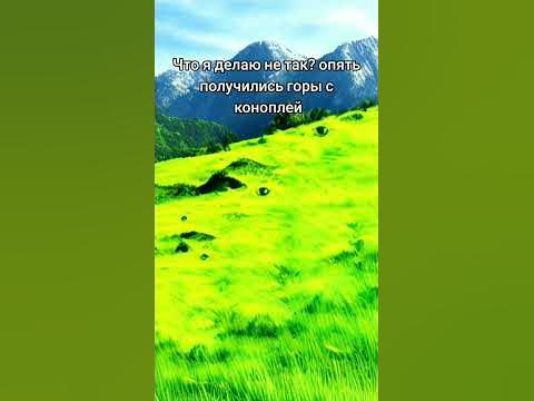 Обои с коноплей #обои #комуги #эльгато #мягкаяигрушка #мемы #кириллплюш ...