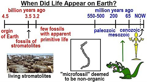 Astronomy - Ch. 30: Life in the Universe? (4 of 20) When Did Life Appear on Earth? - DayDayNews