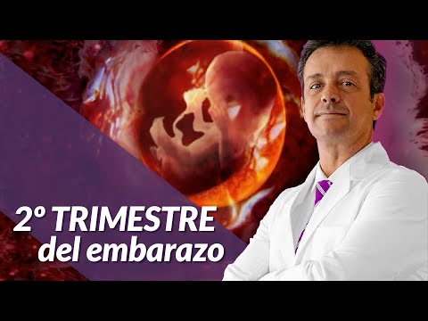 Vídeo: El Segundo Trimestre Del Embarazo: Complicaciones