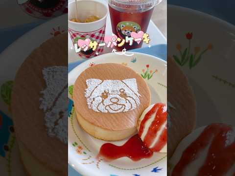 【市川市動植物園】お昼ご飯🥞🍛 #レッサーパンダ #ランチ #パンチくん
