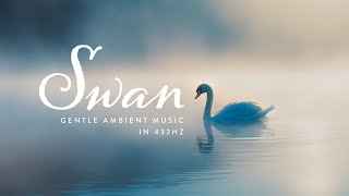 Swan | Gentle Ambient Music for Floating, Relaxation, Sleep, Focus | 432Hz Tuning