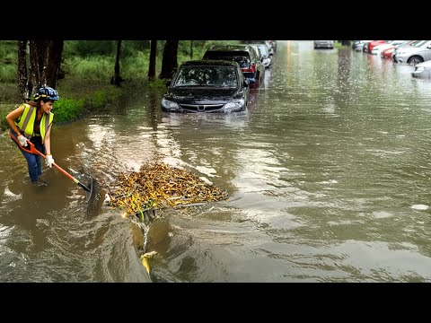 Importance Clean Culvert