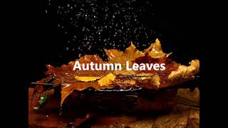 Autumn Leaves by Nat King Cole (with lyrics)