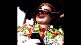 Margo Walker - Spydance