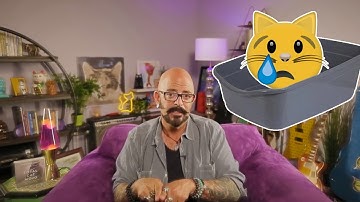 Does Your Cat Hate the Litter Box?