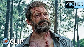 Wolverine Burying Charles Xavier Scene Logan 2017 4K Hdr Movie Clip
