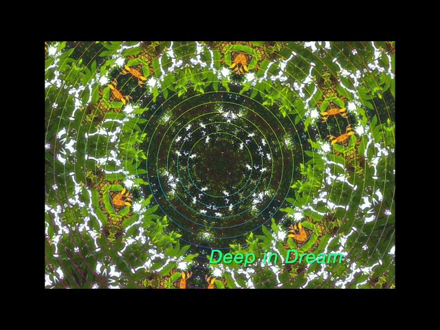 真樹 HermitLit - 冥想音樂我也略懂