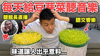 【牛排】每天聽館長直播的豆芽菜，種出來會變好吃嗎？『吃一口差點跪了！？』