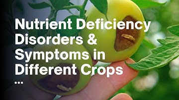 Causes of Nutrient Deficiencies in Various Crops | Physiological Disorders of Plants