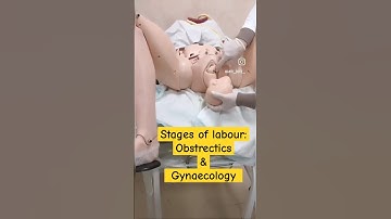 Stages of labour | Obstetrics & Gynaecology | Simulation center crimea federal university, Russia