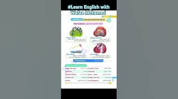 #unit9 #lesson2 #connect4 #Step Ahead #Learn English with Wafaa Mohamed #الصف الرابع #كونكت