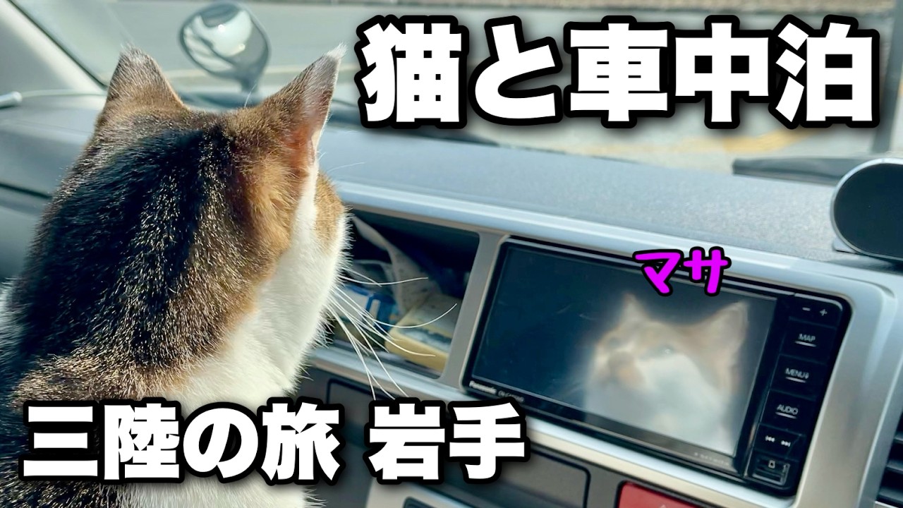 【3泊目】猫のマサと車中泊！三陸道を使って東北の海岸線を巡る旅｜岩手県陸前高田市～宮古市