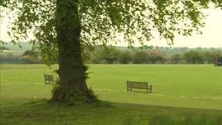 Back to their Roots with James Taylor