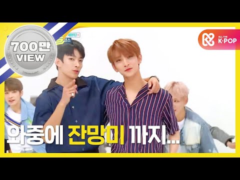 (EN/JP/ES/TR) [Weekly Idol] 세븐틴 랜덤플레이댄스 풀버전!! l EP.308