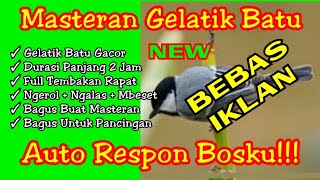 Masteran gelatik batu gacor full 2 jam || Gelatik batu gacor