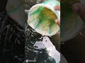 Release Guppy in a New pond. #shorts#fishkeepinghobby #guppykerala#outdoorpond #aquascapegallery
