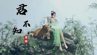 【古风音乐】- 《君不知》 三生有幸遇见你，纵使悲凉归故里