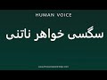 How To Pronounce سگسی خواهر ناتنی How To Pronounce سگسی خواهر ناتنی