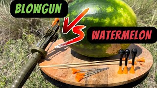 .625 Blowgun VS Watermelon (penetration test)/ having fun 🍉😁