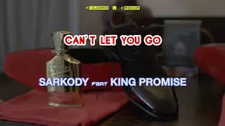 Sarkodie ft King Promise - Can't let you go (video lyrics)By Milord_Dream