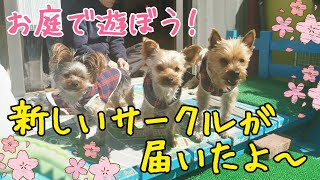 新しいサークルが届いたよ〜