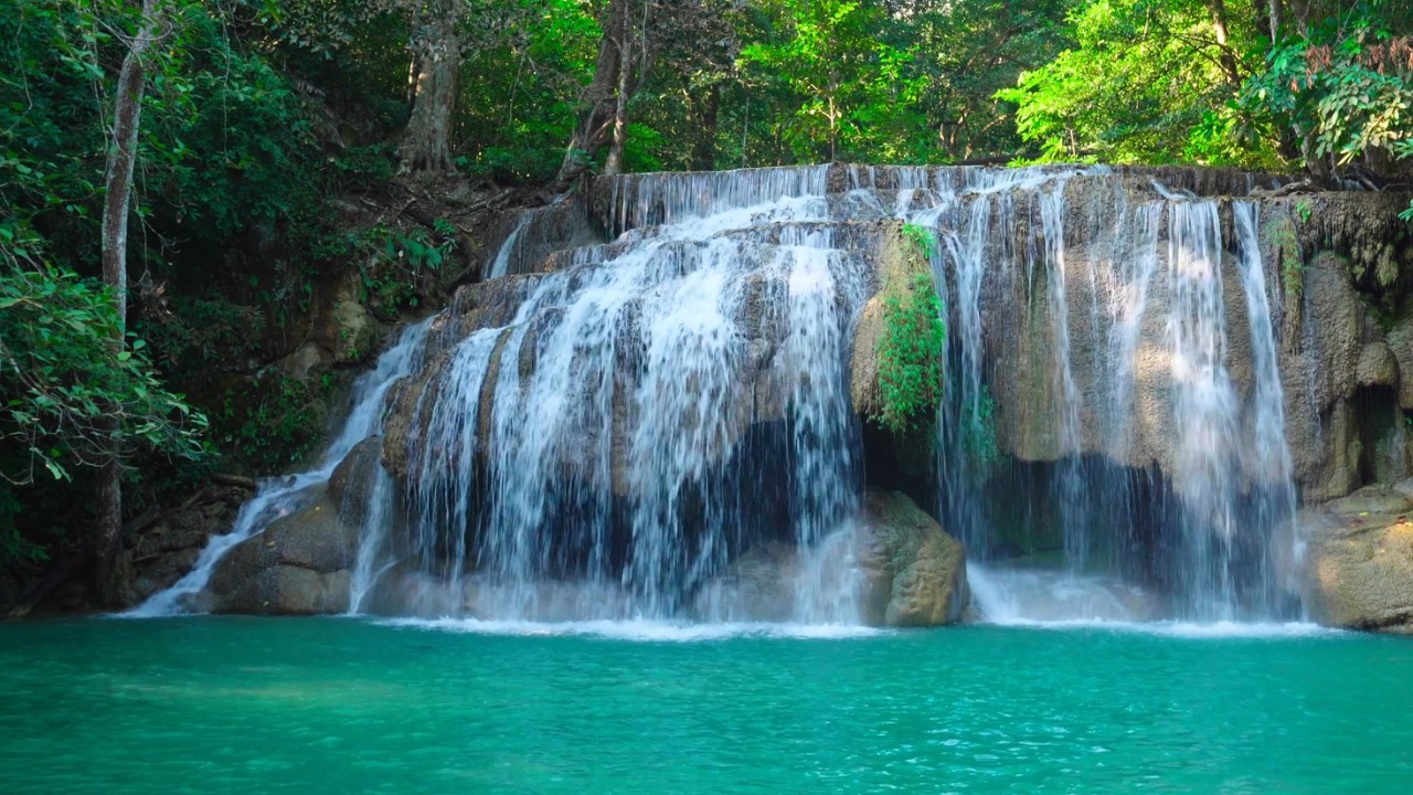 Gentle Forest Waterfall – 3 Hours of Relaxing Nature Ambience