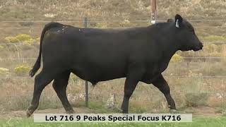9 Peaks Special Focus K716