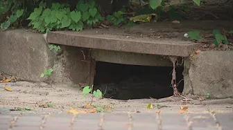 Columbus residents endure unpleasant smell amid dry weather conditions, aging sewer system