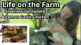 Lemon Garlic Chicken 🍗 GreenHouse Update and Farm Life As A Mama Of Five